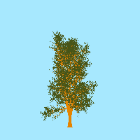 greenshift tree
