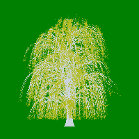 greenshift tree
