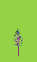 greenshift tree