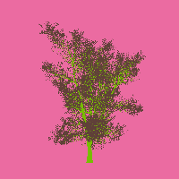 greenshift tree