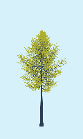 greenshift tree