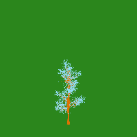 greenshift tree
