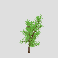 greenshift tree