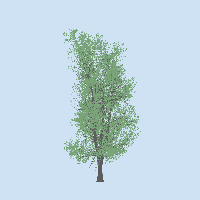 greenshift tree