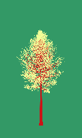 greenshift tree
