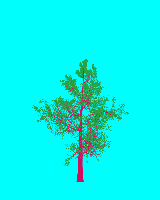 greenshift tree