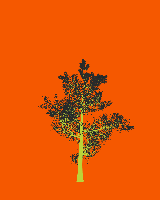 greenshift tree