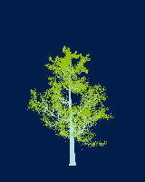 greenshift tree