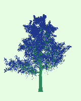 greenshift tree