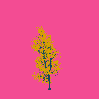 greenshift tree