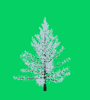 greenshift tree