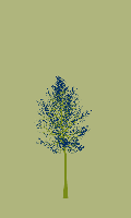greenshift tree