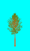 greenshift tree