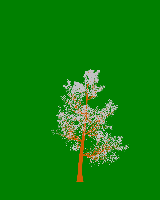 greenshift tree