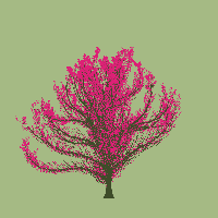 greenshift tree