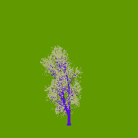 greenshift tree