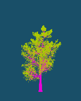 greenshift tree