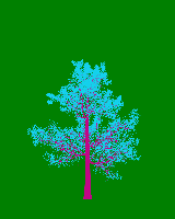 greenshift tree