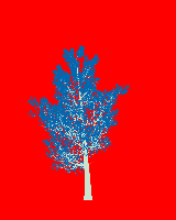 greenshift tree