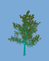 greenshift tree