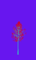 greenshift tree
