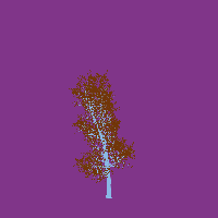 greenshift tree