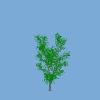 greenshift tree