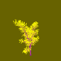 greenshift tree
