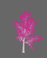 greenshift tree