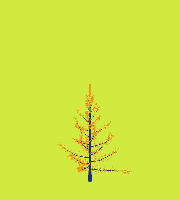 greenshift tree