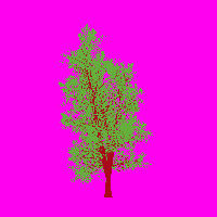 greenshift tree