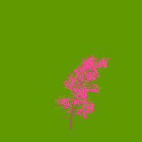 greenshift tree