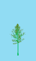 greenshift tree
