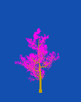 greenshift tree