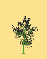 greenshift tree