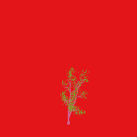 greenshift tree