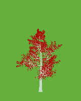 greenshift tree