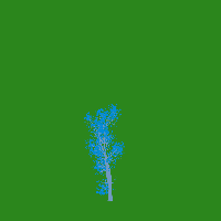 greenshift tree