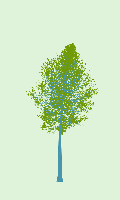 greenshift tree