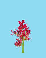 greenshift tree