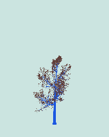 greenshift tree