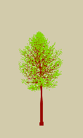 greenshift tree