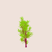 greenshift tree