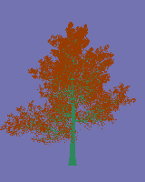 greenshift tree