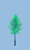 greenshift tree