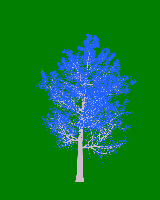 greenshift tree