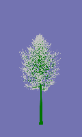 greenshift tree