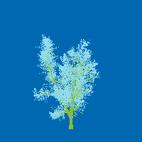 greenshift tree