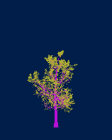 greenshift tree