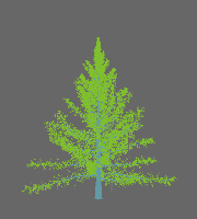 greenshift tree
